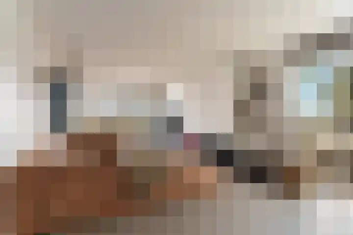 Nico Jessekade 113 Amsterdam thumbnail 4