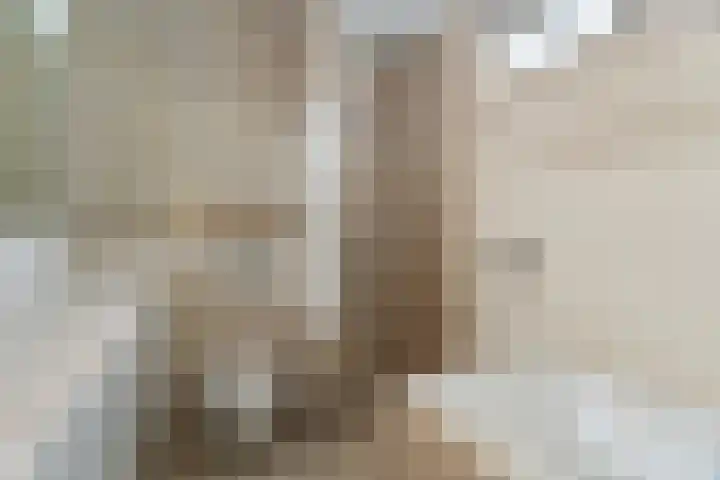 Nico Jessekade 113 Amsterdam thumbnail 42
