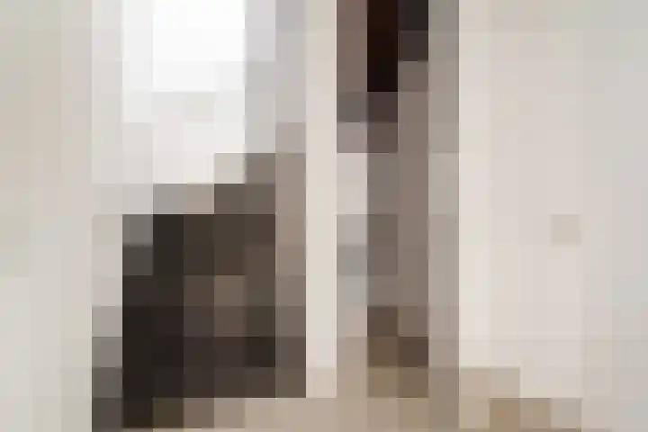 Nico Jessekade 113 Amsterdam thumbnail 44
