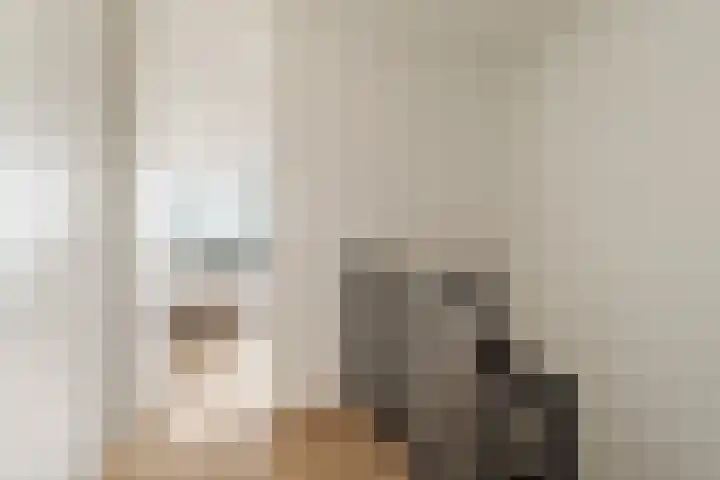 Nico Jessekade 113 Amsterdam thumbnail 45
