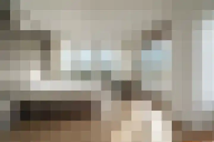 Nico Jessekade 113 Amsterdam thumbnail 46