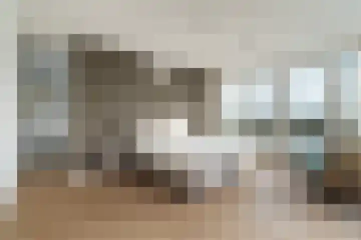 Nico Jessekade 113 Amsterdam thumbnail 49