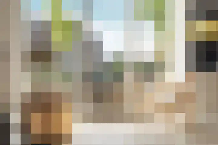 Nico Jessekade 113 Amsterdam thumbnail 5