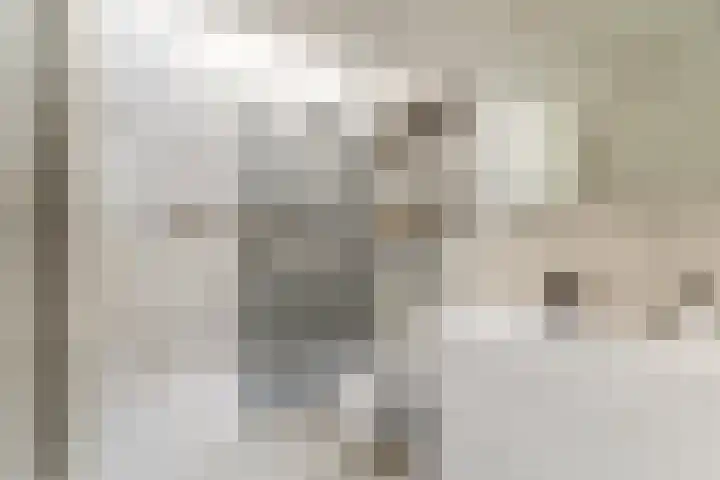 Nico Jessekade 113 Amsterdam thumbnail 51