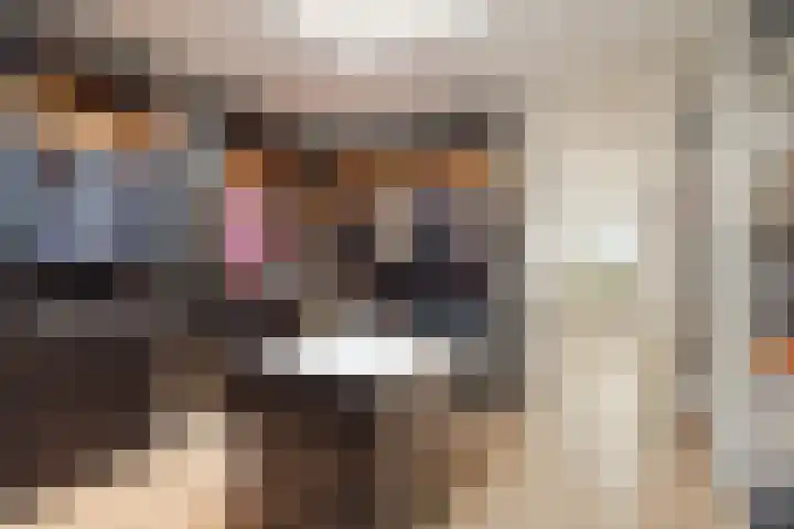 Nico Jessekade 113 Amsterdam thumbnail 55