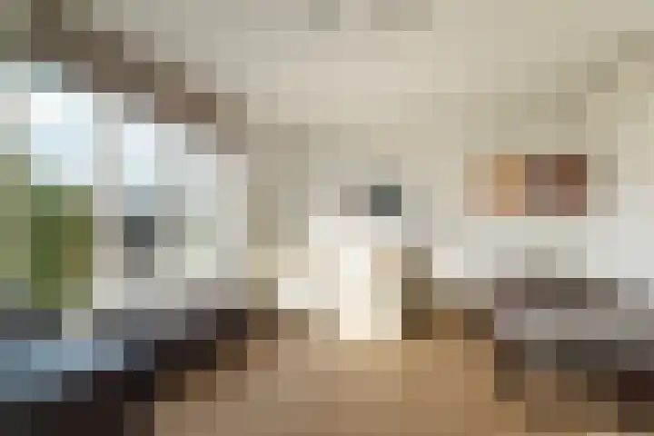Nico Jessekade 113 Amsterdam thumbnail 56