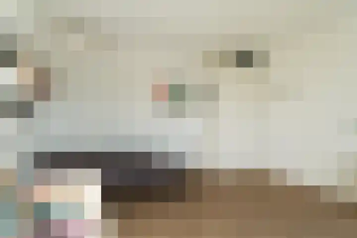 Nico Jessekade 113 Amsterdam thumbnail 57