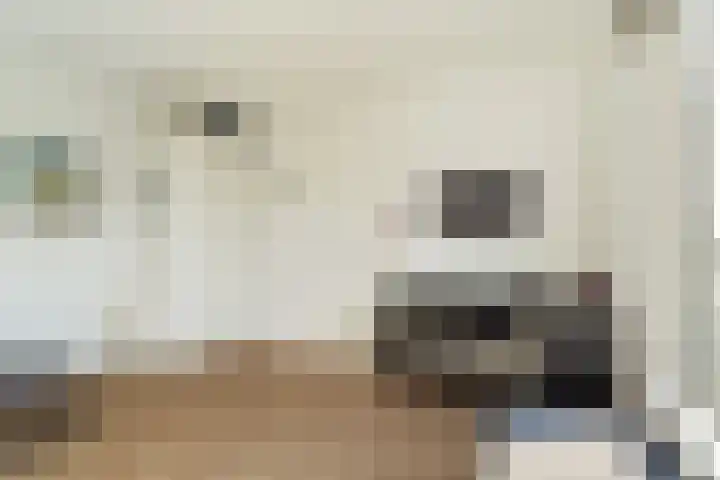 Nico Jessekade 113 Amsterdam thumbnail 58