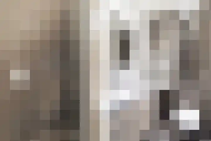 Nico Jessekade 113 Amsterdam thumbnail 60