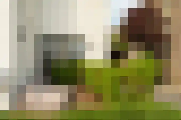 Nico Jessekade 113 Amsterdam thumbnail 63