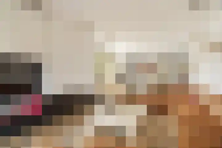 Nico Jessekade 113 Amsterdam thumbnail 7
