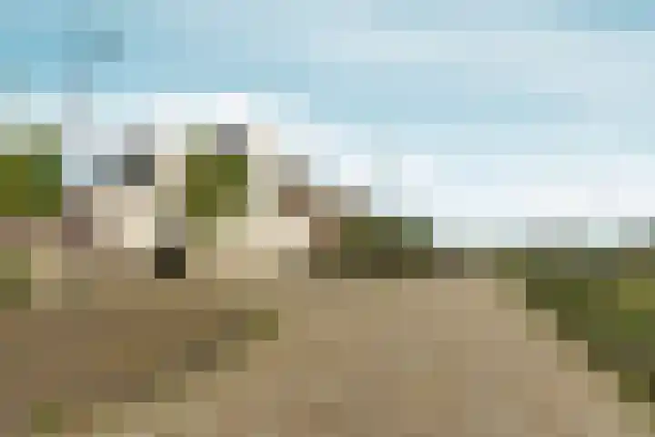 Nico Jessekade 113 Amsterdam thumbnail 70