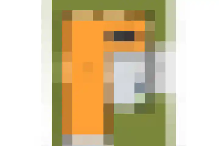 Nico Jessekade 113 Amsterdam thumbnail 77