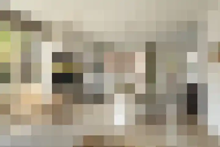 Nico Jessekade 113 Amsterdam thumbnail 9