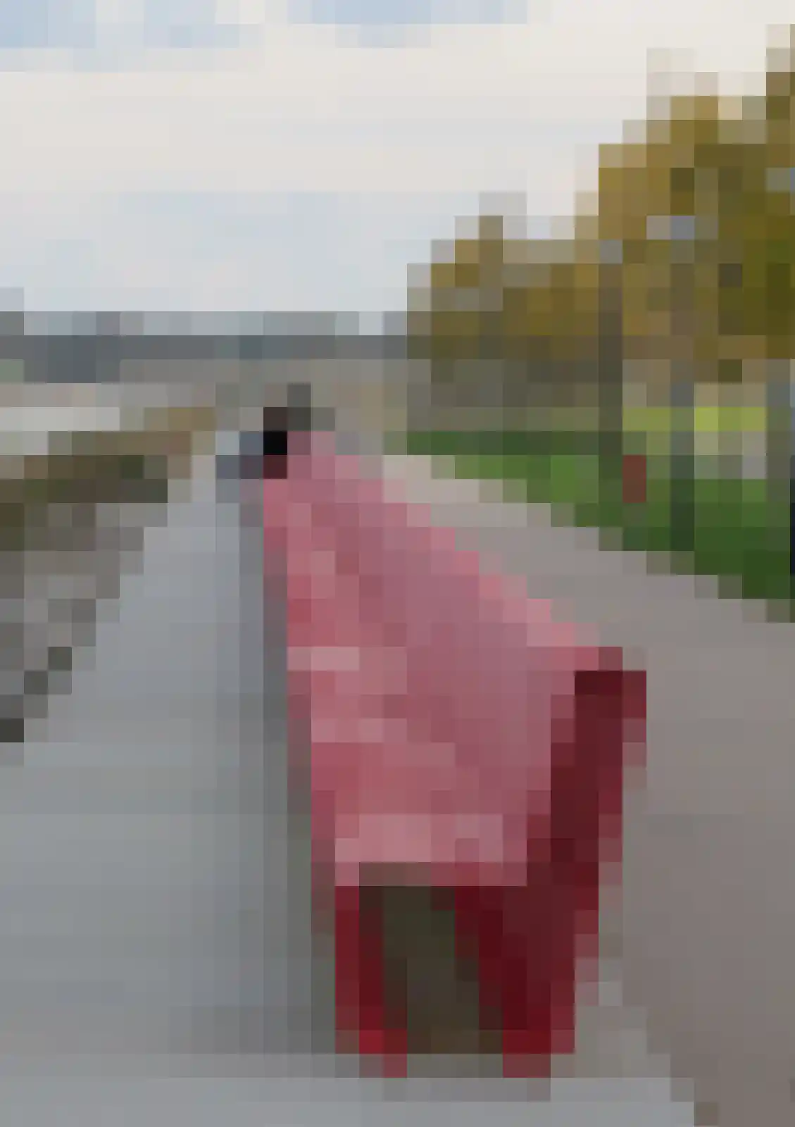 Nico Jessekade 137 Amsterdam thumbnail 53