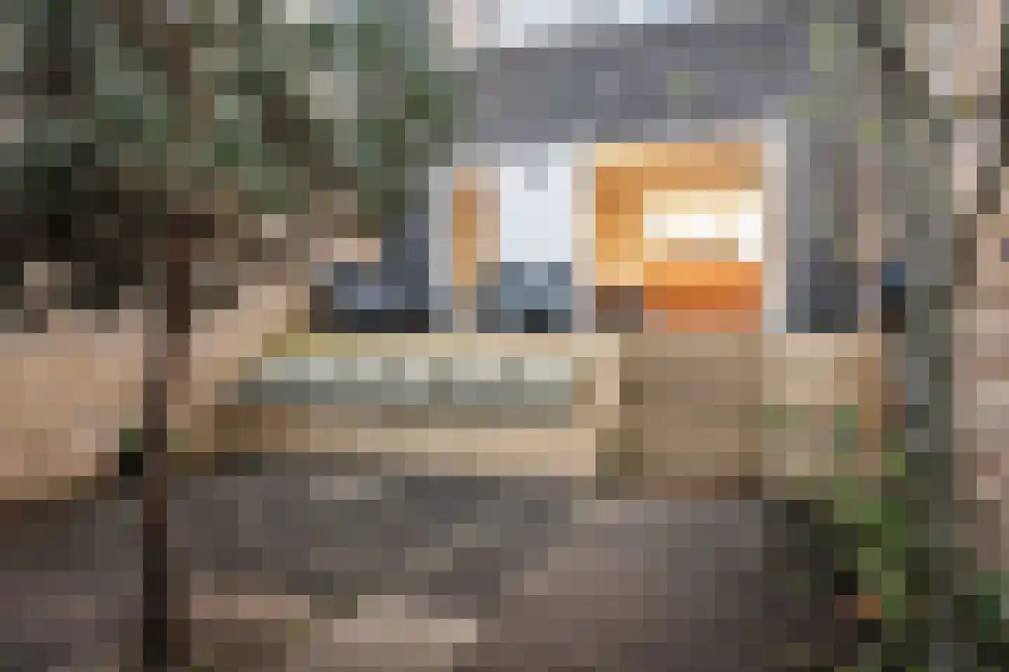 Nico Jessekade 165 Amsterdam thumbnail 42