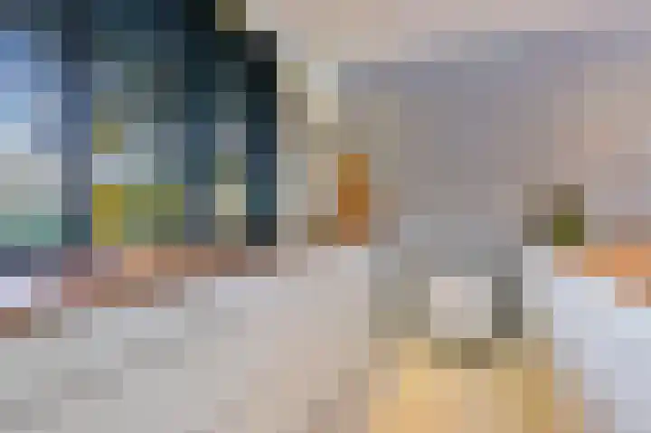 Nico Jessekade 197 Amsterdam thumbnail 11