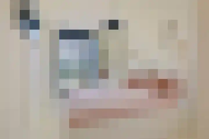 Nico Jessekade 197 Amsterdam thumbnail 14