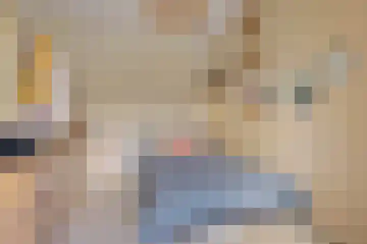 Nico Jessekade 197 Amsterdam thumbnail 22