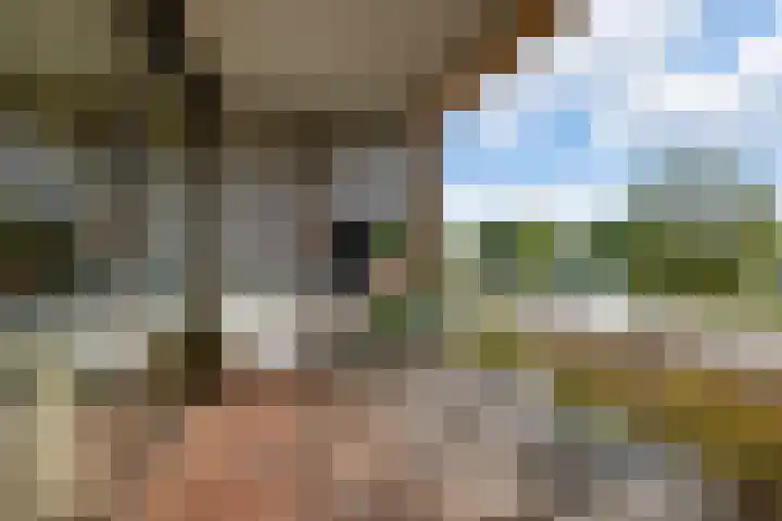Nico Jessekade 197 Amsterdam thumbnail 25