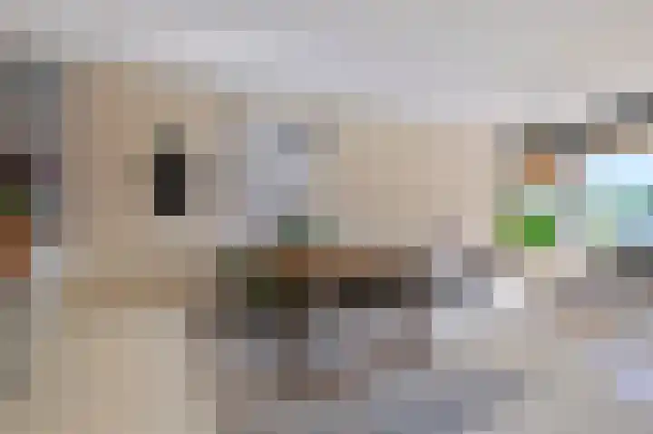Nico Jessekade 197 Amsterdam thumbnail 6