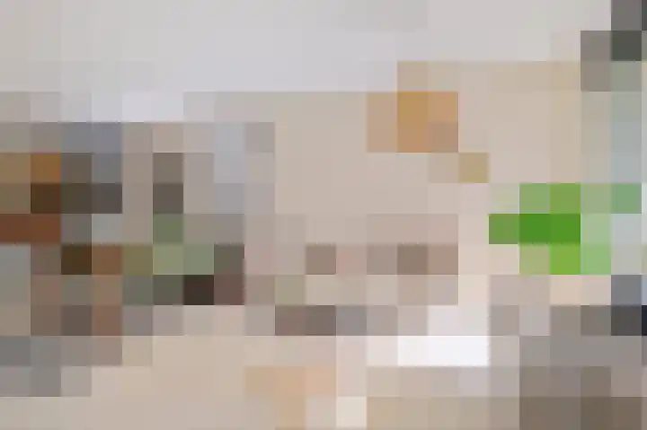 Nico Jessekade 197 Amsterdam thumbnail 9