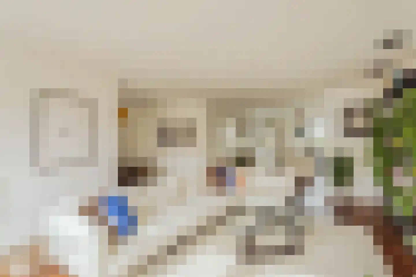 Nico Jessekade 71 Amsterdam thumbnail 11