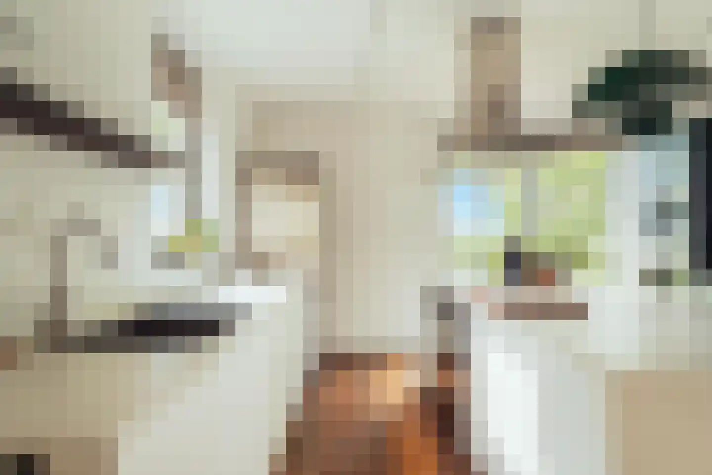 Nico Jessekade 71 Amsterdam thumbnail 13