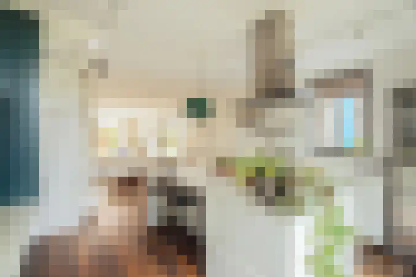 Nico Jessekade 71 Amsterdam thumbnail 16