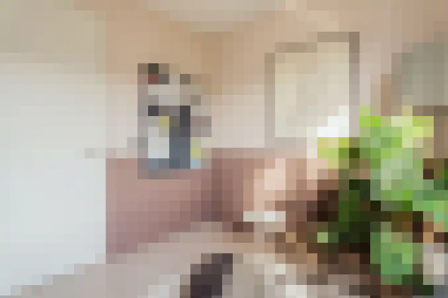 Nico Jessekade 71 Amsterdam thumbnail 30