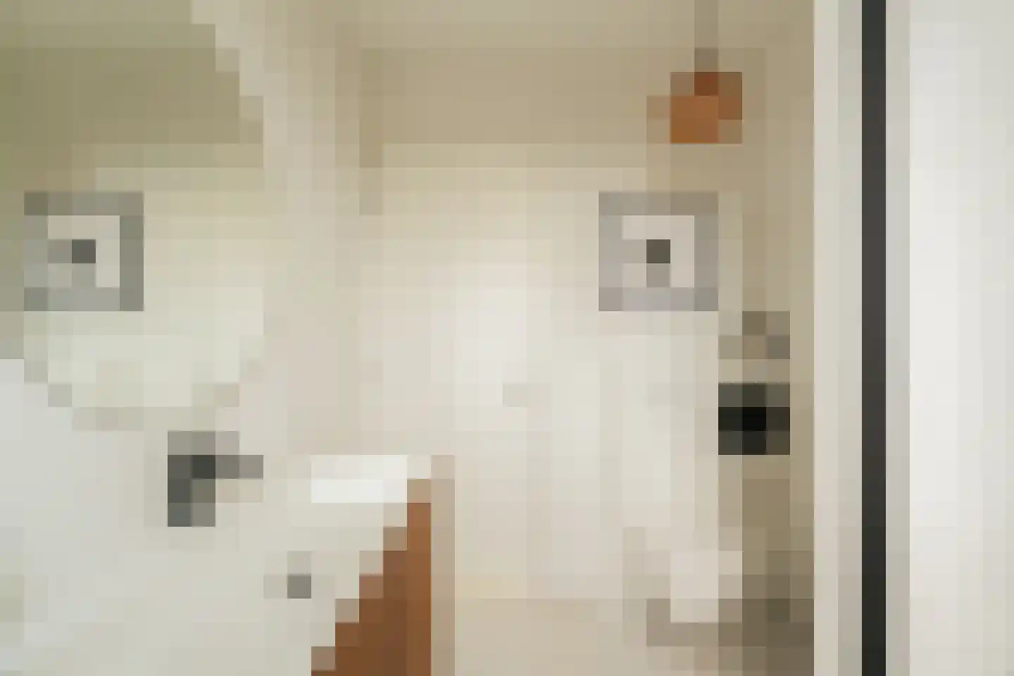 Nico Jessekade 71 Amsterdam thumbnail 38