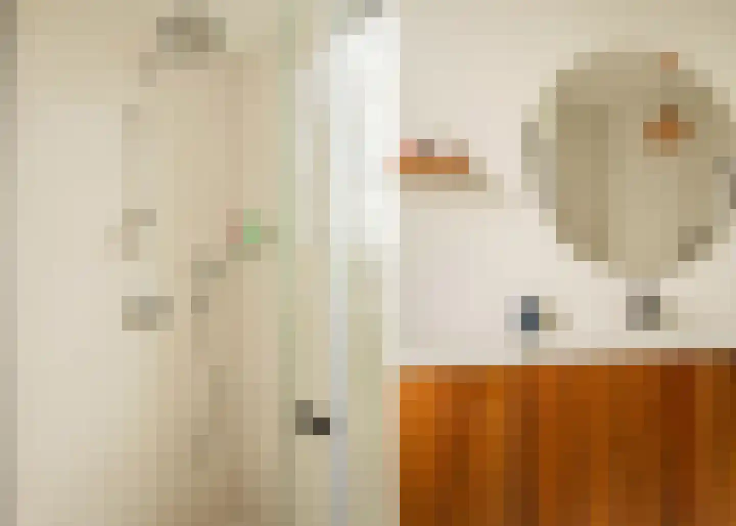 Nico Jessekade 71 Amsterdam thumbnail 39