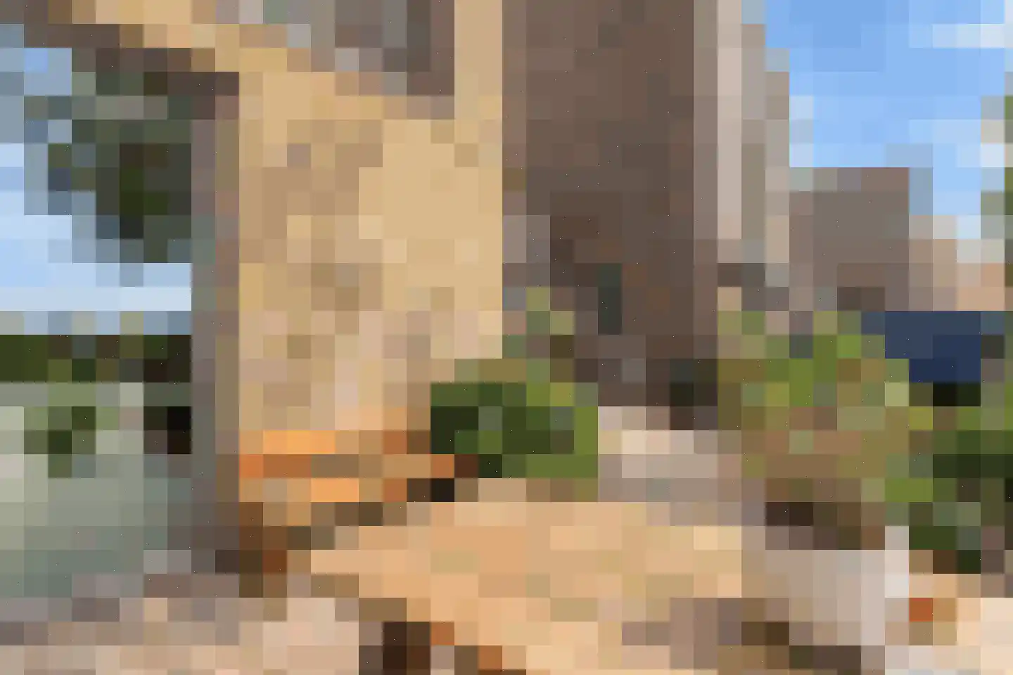 Nico Jessekade 71 Amsterdam thumbnail 43