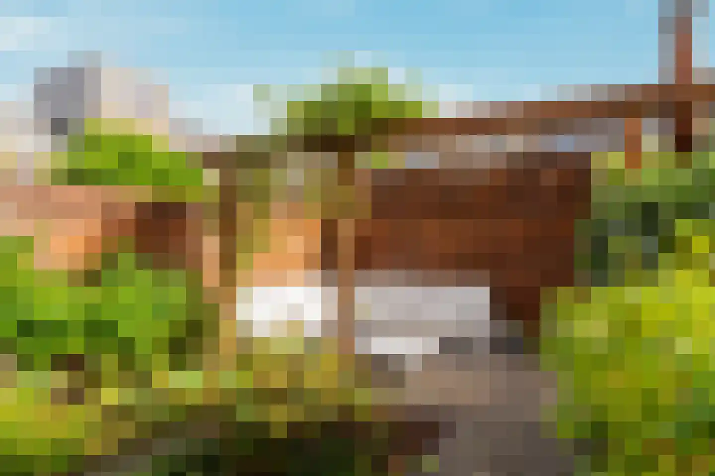 Nico Jessekade 71 Amsterdam thumbnail 7