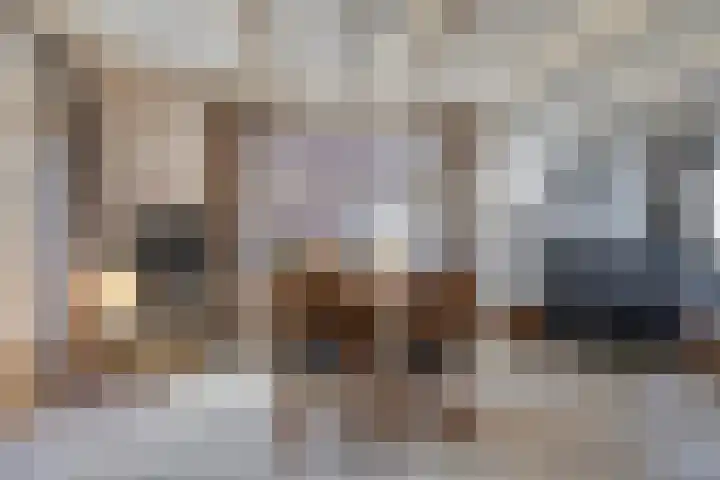 Nico Kolenbergstraat 18 Lutjebroek thumbnail 14