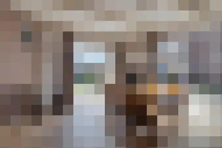 Nico Kolenbergstraat 18 Lutjebroek thumbnail 15