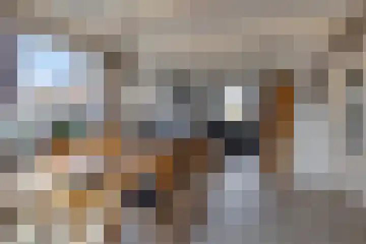 Nico Kolenbergstraat 18 Lutjebroek thumbnail 16