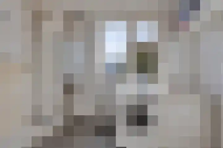 Nico Kolenbergstraat 18 Lutjebroek thumbnail 23