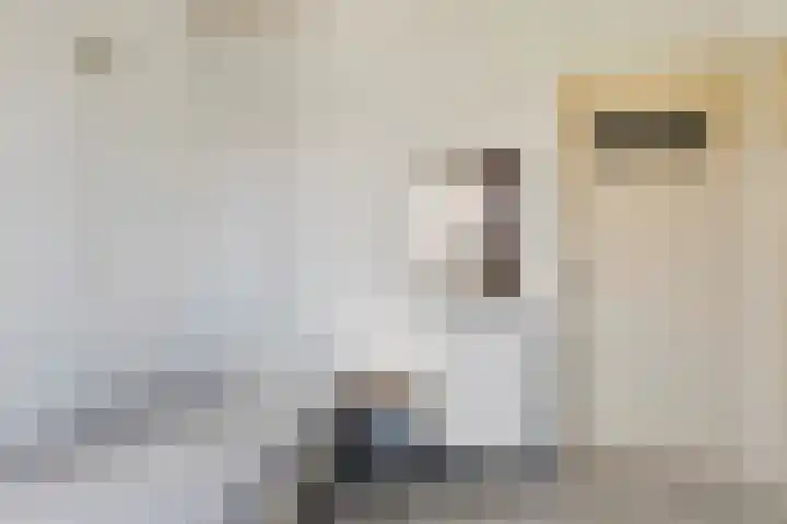 Nico Kolenbergstraat 18 Lutjebroek thumbnail 26