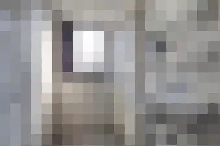 Nico Kolenbergstraat 18 Lutjebroek thumbnail 33