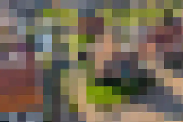 Nico Kolenbergstraat 18 Lutjebroek thumbnail 4