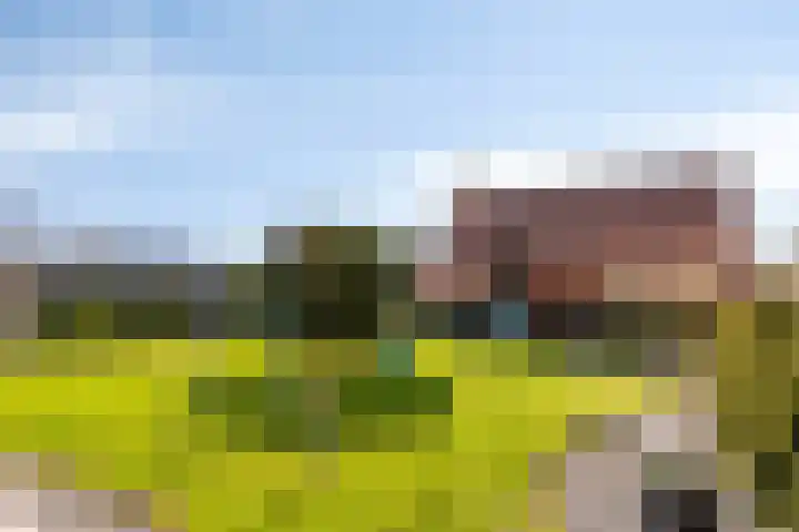 Nico Kolenbergstraat 18 Lutjebroek thumbnail 40