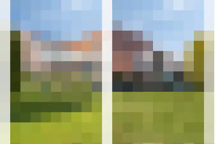 Nico Kolenbergstraat 18 Lutjebroek thumbnail 43