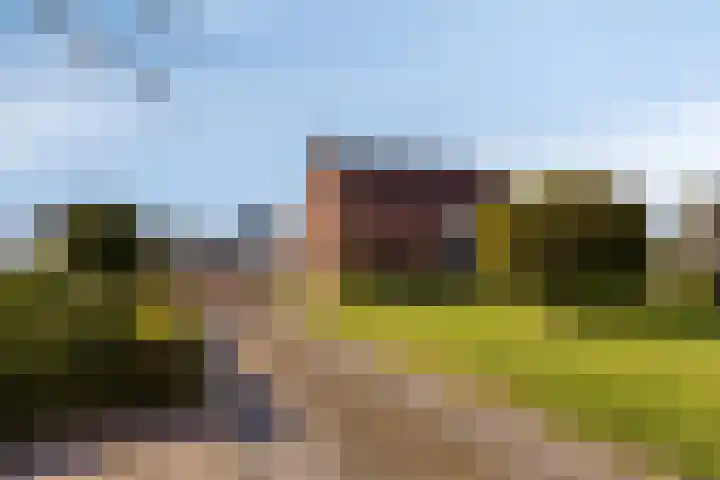 Nico Kolenbergstraat 18 Lutjebroek thumbnail 44