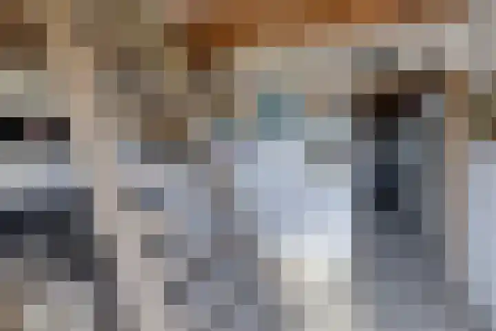 Nico Kolenbergstraat 18 Lutjebroek thumbnail 50