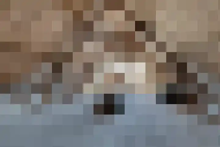 Nico Kolenbergstraat 18 Lutjebroek thumbnail 51