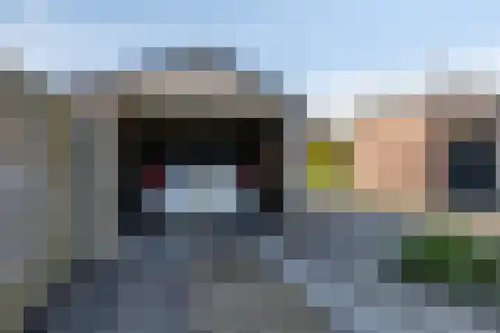 Nico Kolenbergstraat 18 Lutjebroek thumbnail 53