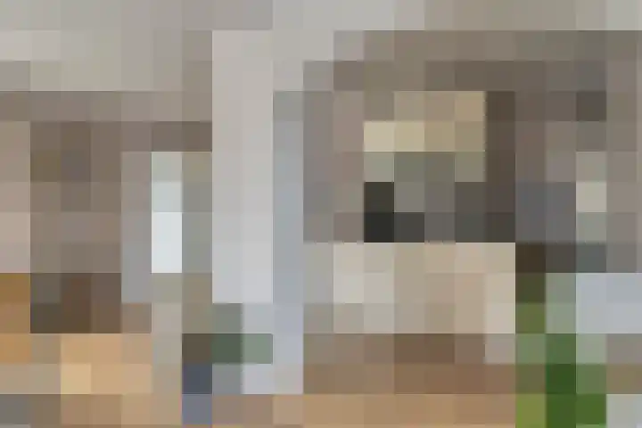 Nico Kolenbergstraat 20 Lutjebroek thumbnail 10