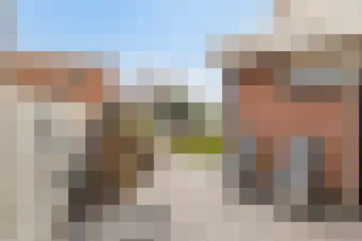 Nico Kolenbergstraat 20 Lutjebroek thumbnail 21