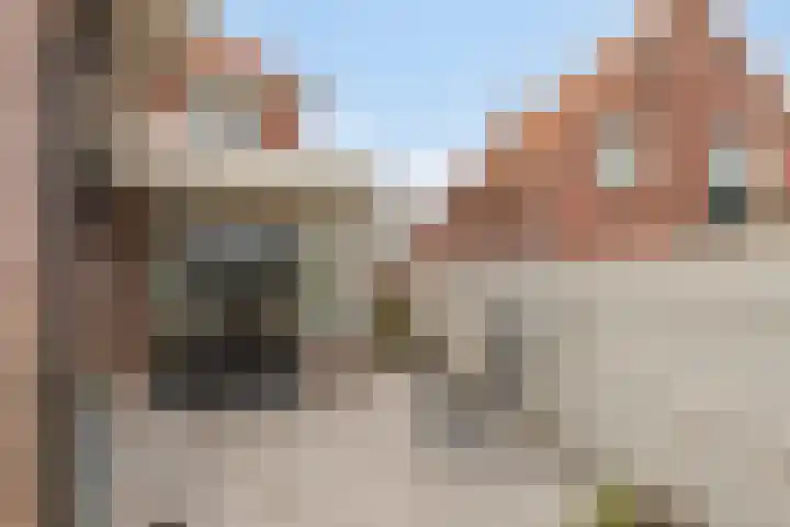 Nico Kolenbergstraat 20 Lutjebroek thumbnail 22